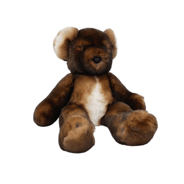 Teddy Bear Soft toy Brown