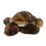Turtle fur soft toy caresse orylag 1