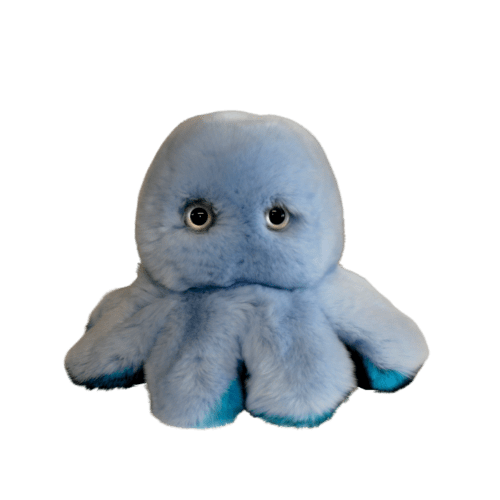 octo buddy reversible