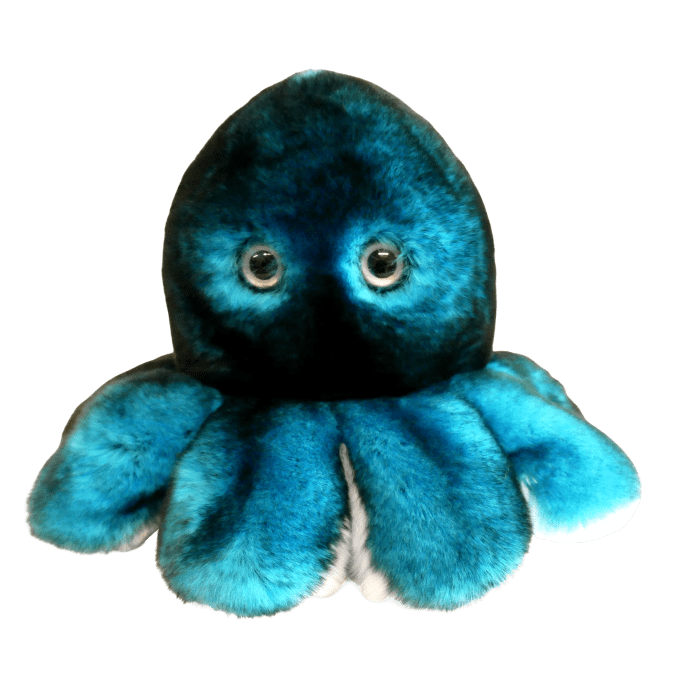 reversible octopus plush 4 verso turquoise